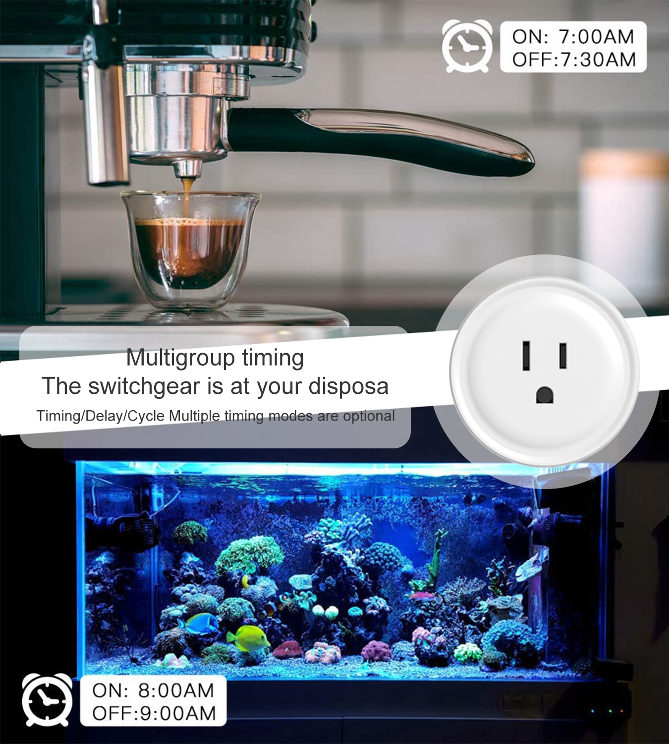 Tuya WiFi US Round 10A Smart P – Smart Home Google Assistant Bewertung und Preis