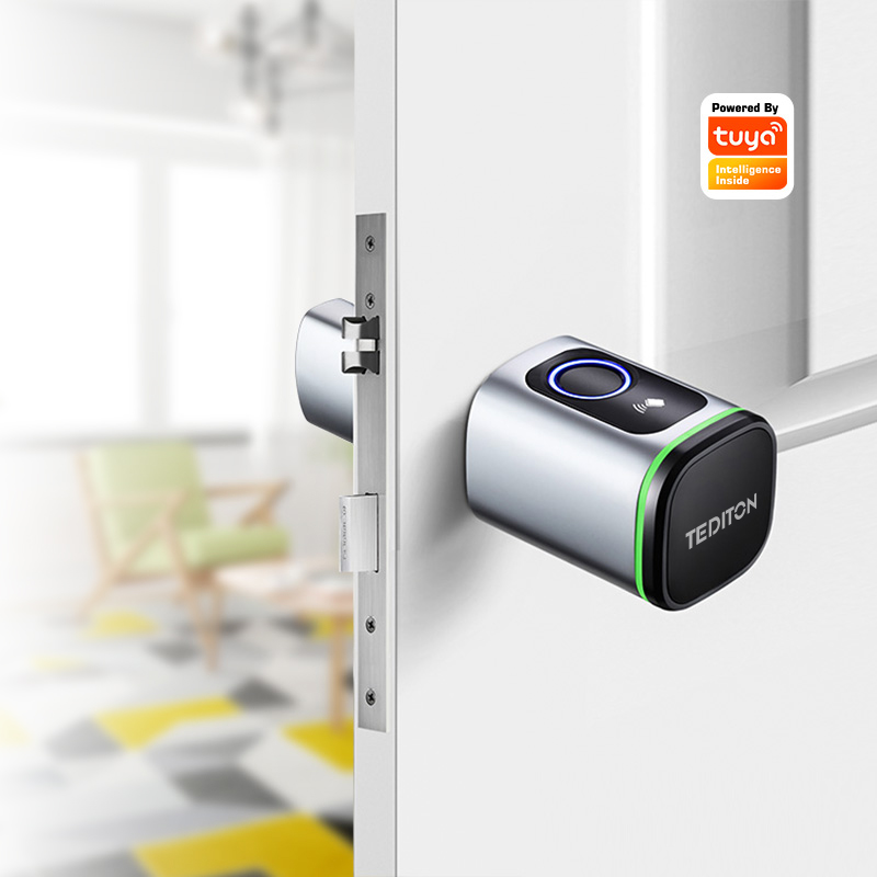 Tuya Wifi Smart Cylinder Door  – Airbnb Smart Home Bewertung und Preis