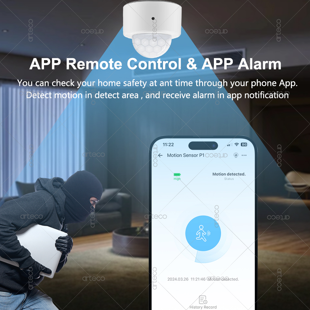 Ewelink Zigbee PIR Motion Sens – Smart Home Google Assistant Bewertung und Preis