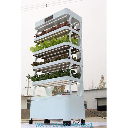 arming Home Hydroponic Growing – Smart Home Ac Bewertung und Preis