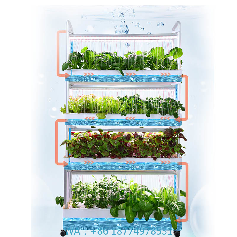 ydroponic Planting System Smar – Smart Home Ac Bewertung und Preis
