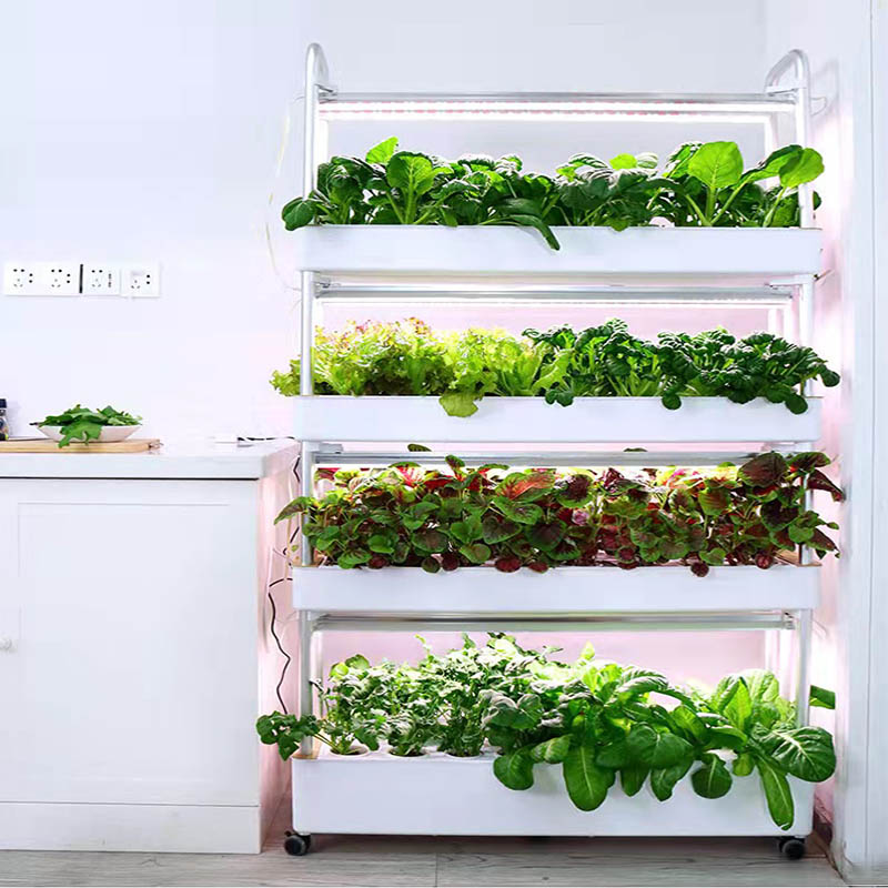 ydroponic Planting System Smar – Smart Home Ac Bewertung und Preis