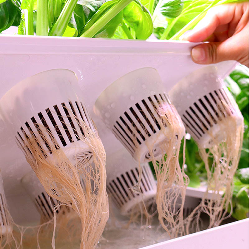 ydroponic Planting System Smar – Smart Home Ac Bewertung und Preis