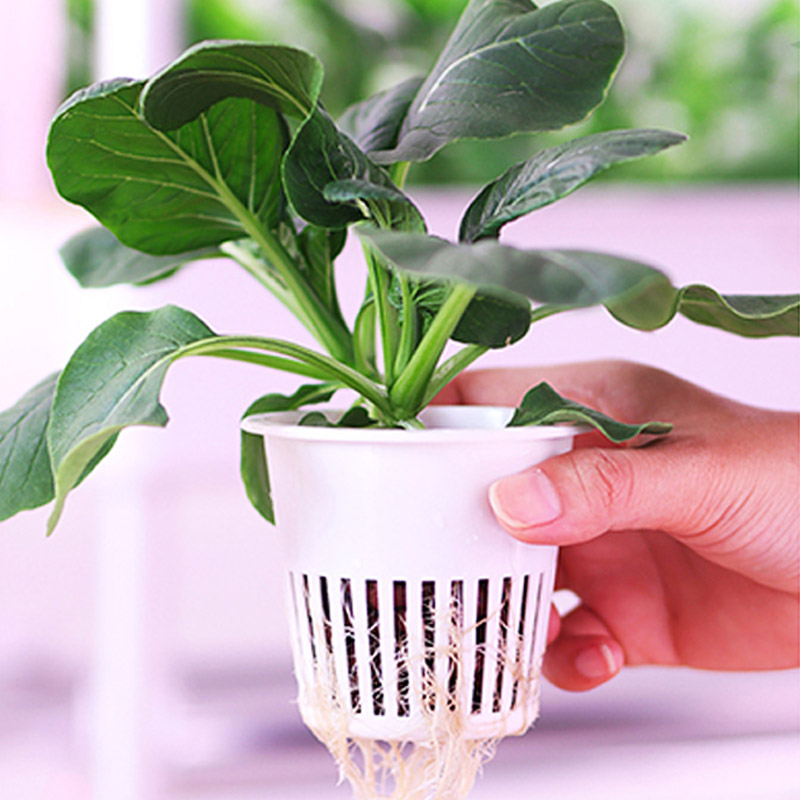 ydroponic Planting System Smar – Smart Home Ac Bewertung und Preis