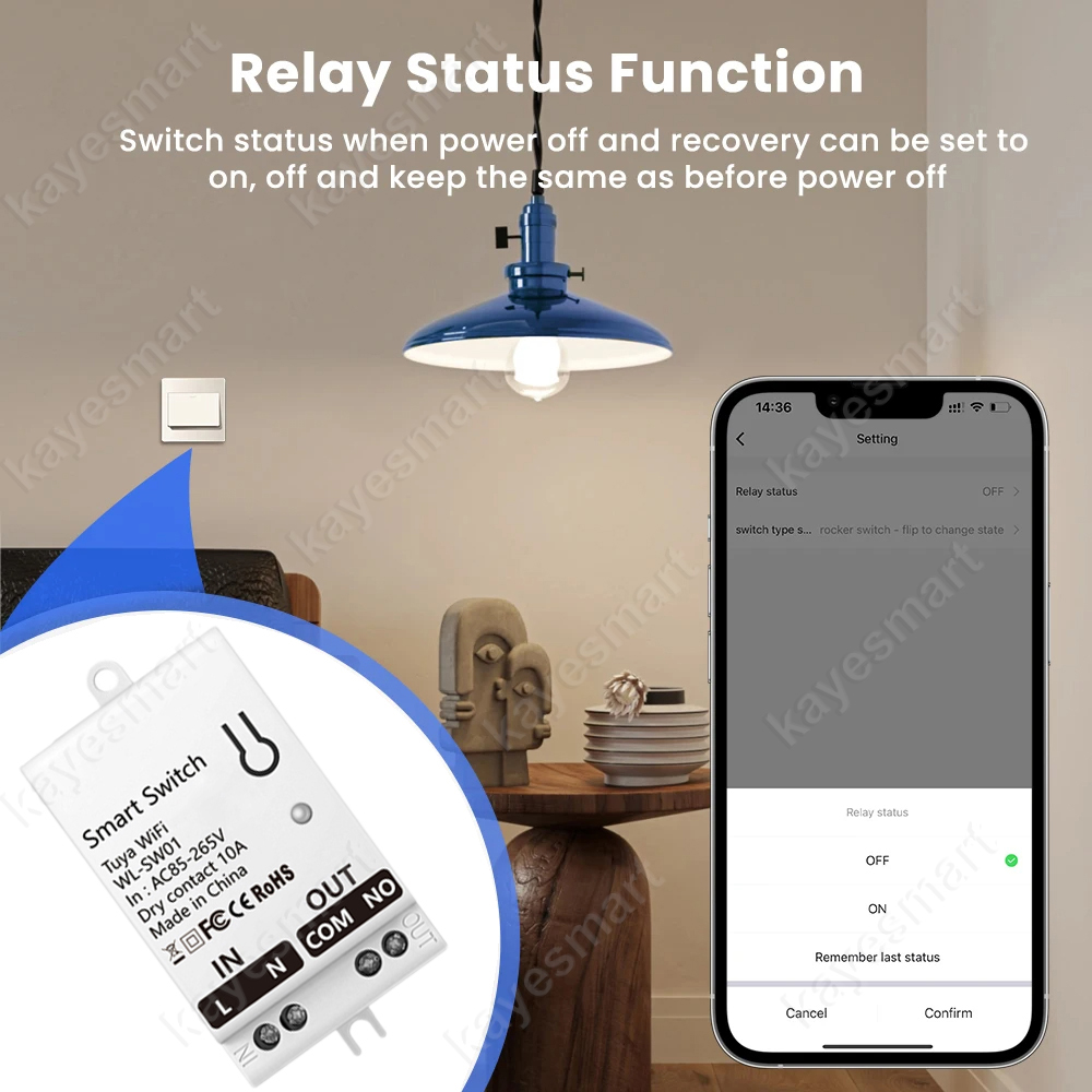 Tuya WiFi Smart Switch Module  – Smart Home Google Assistant Bewertung und Preis