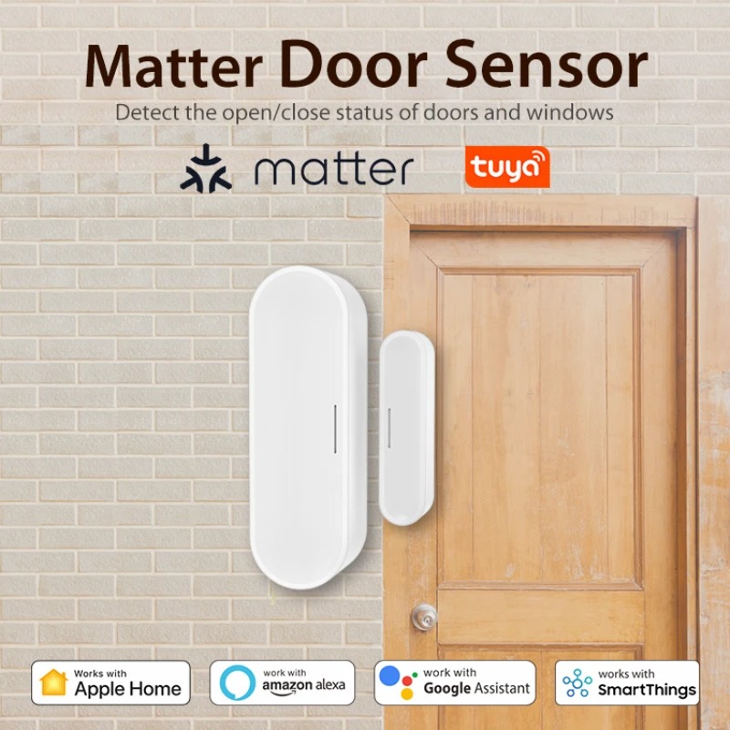 Tuya Smart Door Window Sensor  – Smart Home Or Smart Home Bewertung und Preis