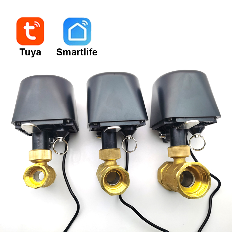 Tuya WiFi or Zigbee Water Valv – Smart Home Google Assistant Bewertung und Preis